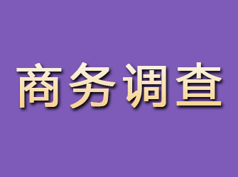 富拉尔基商务调查